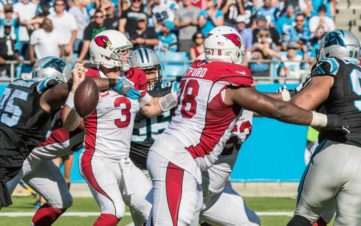 Carson-Palmer-Carolina-Panthers.jpg